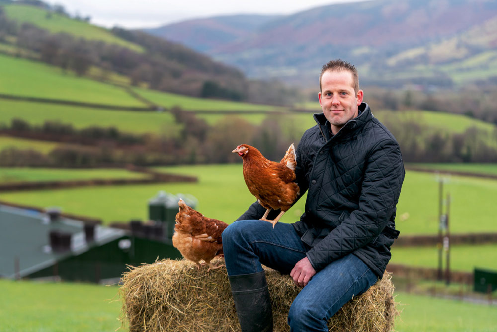 farmer chickens