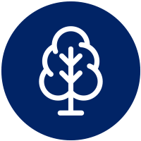 icon tree